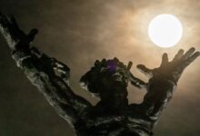 Astronomia registra Harvest supermoon em imagens globais