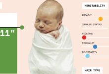 CRISPR e a busca pelo bebê perfeito geram dilemas éticos