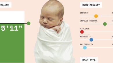 CRISPR e a busca pelo bebê perfeito geram dilemas éticos