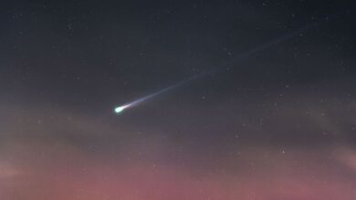 Cometa Lemmon revela cauda estranha nos céus da Inglaterra