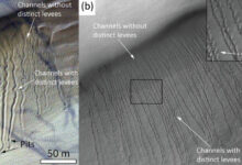 Two examples of Martian dunes with linear dune gullies: (a) linear dune gullies on a dune field in Galle crater; (b) linear dune gullies on a dune field in an unnamed crater in the center of Hellas Planitia. Image credit: Roelofs et al., doi: 10.1029/2024GL112860.