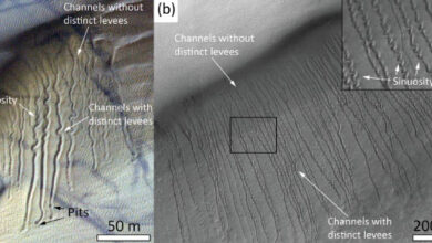 Two examples of Martian dunes with linear dune gullies: (a) linear dune gullies on a dune field in Galle crater; (b) linear dune gullies on a dune field in an unnamed crater in the center of Hellas Planitia. Image credit: Roelofs et al., doi: 10.1029/2024GL112860.