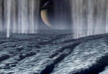Cassini Detects Organic Molecules in Freshly Ejected Ice Grains from Enceladus’ Ocean