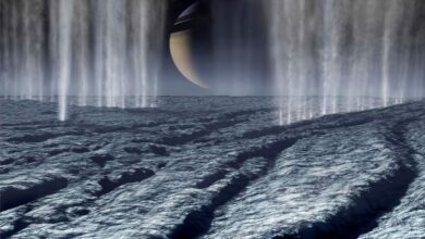 Cassini Detects Organic Molecules in Freshly Ejected Ice Grains from Enceladus’ Ocean