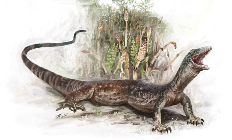 Descoberta revela criatura de 160 milhões híbrida na Escócia
