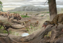 New Species of Triassic Carnivorous Dinosaur Identified in Argentina