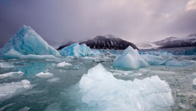 Estudo identifica papel do Ártico no aquecimento global