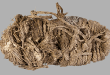 Descoberta revela sapato de 750 anos em ninho de abutres