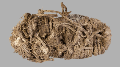 Descoberta revela sapato de 750 anos em ninho de abutres