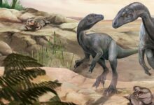 Paleontologists Discover New Species of Triassic Long-Necked Dinosaur