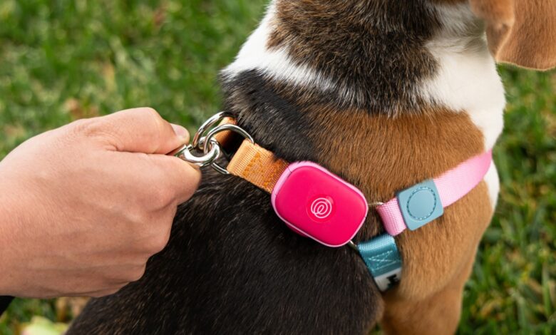 Life360 lança novo gadget GPS para monitorar pets
