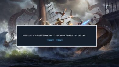 Pillars of Eternity 2 removido do Steam por exploit surpresa
