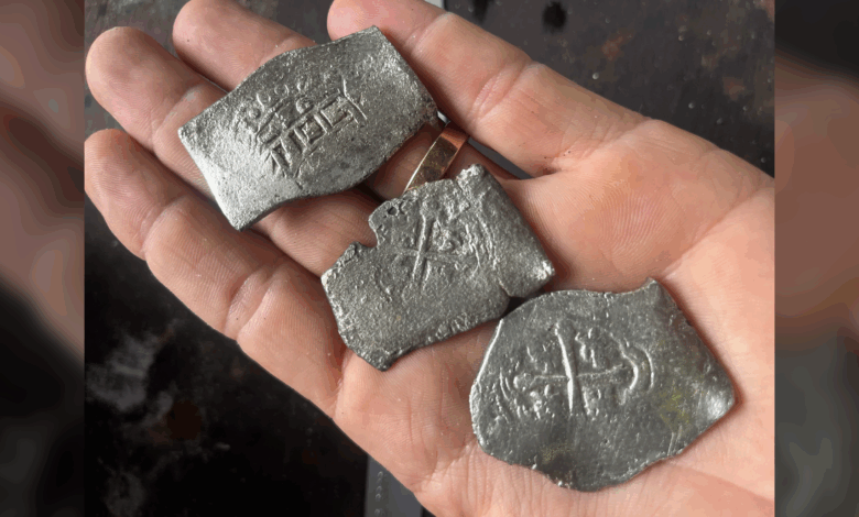 Mergulhadores recuperam 1.000 moedas em estudo de naufrágio de 1715