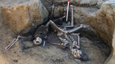 Pesquisa revela diversidade étnica em sepultura romana