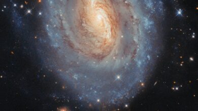 Hubble revela descoberta inesperada em pesquisa de supernovas
