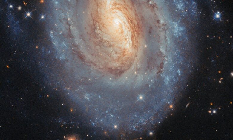Hubble revela descoberta inesperada em pesquisa de supernovas