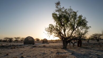 Estudo revela variantes genéticas únicas em Turkana contra calor