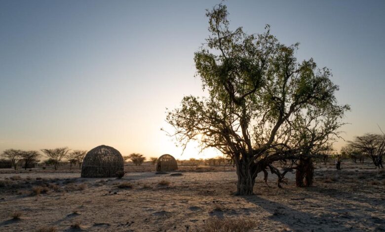 Estudo revela variantes genéticas únicas em Turkana contra calor