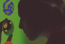 Novo teste identifica saúde do sistema imunológico