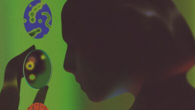 Novo teste identifica saúde do sistema imunológico