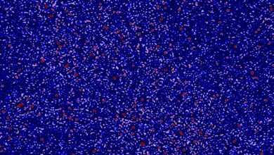 Astrônomos avançam em estudo do sinal da Epoch of Reionization