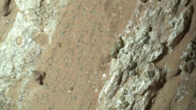 NASA encontra nova pista em busca de vida com rover Perseverance