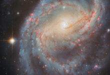 This Hubble image shows NGC 6951, a barred spiral galaxy some 70 million light-years away in the constellation of Cepheus. The color image was made from separate exposures taken in the visible and near-infrared regions of the spectrum with Hubble’s Advanced Camera for Surveys (ACS). Two filters were used to sample various wavelengths. The color results from assigning different hues to each monochromatic image associated with an individual filter. Image credit: NASA / ESA / Hubble / L.C. Ho / G. Brammer / A. Filippenko / C. Kilpatrick.