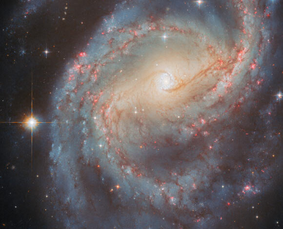 This Hubble image shows NGC 6951, a barred spiral galaxy some 70 million light-years away in the constellation of Cepheus. The color image was made from separate exposures taken in the visible and near-infrared regions of the spectrum with Hubble’s Advanced Camera for Surveys (ACS). Two filters were used to sample various wavelengths. The color results from assigning different hues to each monochromatic image associated with an individual filter. Image credit: NASA / ESA / Hubble / L.C. Ho / G. Brammer / A. Filippenko / C. Kilpatrick.