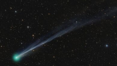 Astrofotógrafos revelam nova visão do cometa C/2025 A6 (Lemmon)