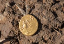 Pesquisa revela 800 moedas celtas em mercado antigo tcheco