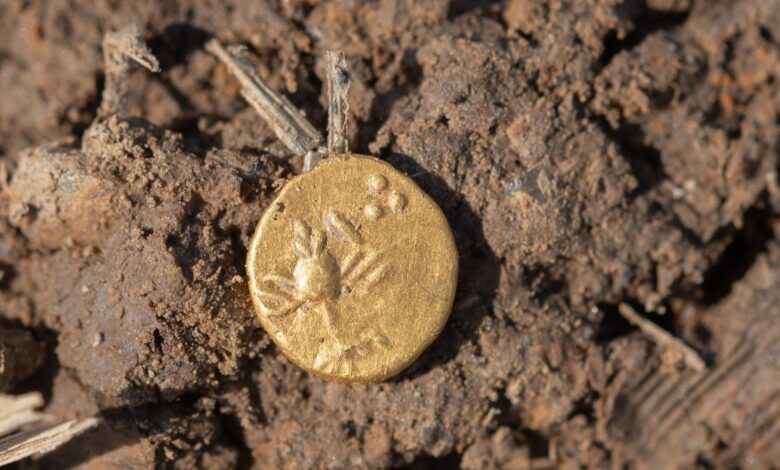Pesquisa revela 800 moedas celtas em mercado antigo tcheco