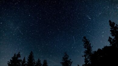 NASA observa pico da chuva de meteoros Orionídeas hoje à noite