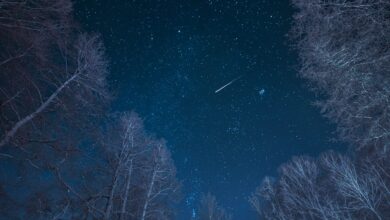 Meteoros Delta Aurigid 2025 iluminam a órbita lunar