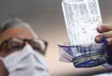 Fiocruz apresenta tecnologia para combate à dengue