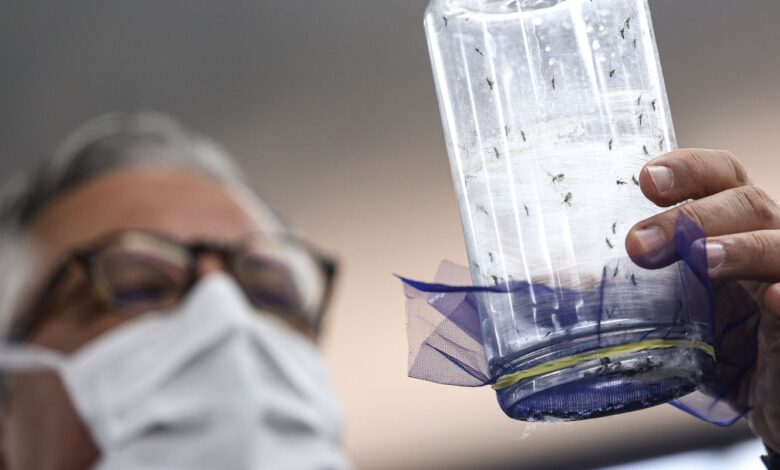 Fiocruz apresenta tecnologia para combate à dengue