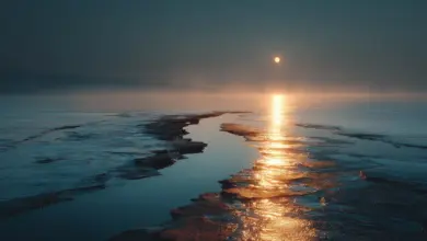 Arqueólogos identificam ponte de terra perdida em descoberta