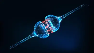 Cientistas desenvolvem tecnologia de neurônios artificiais