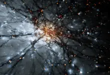 Cientistas avançam em pesquisa sobre identidade da matéria escura