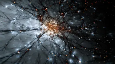 Cientistas avançam em pesquisa sobre identidade da matéria escura