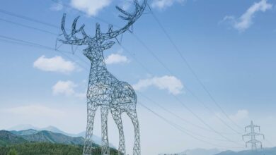 Áustria transforma linhas de energia em design sustentável de animais