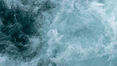 Satélites monitoram ondas recordes de tempestade no oceano