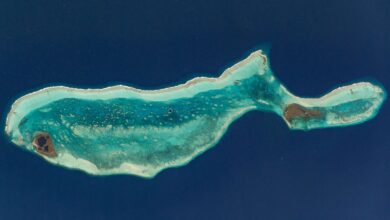 Pesquisa revela formação do grande blue blowhole em Belize