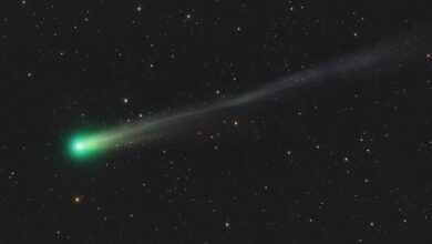 NASA observa cometa Lemmon iluminar o céu em outubro