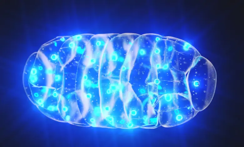 Pesquisa revela ligação entre energia cerebral e doenças mentais