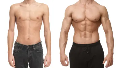 Pesquisa revela carne que amplia crescimento muscular