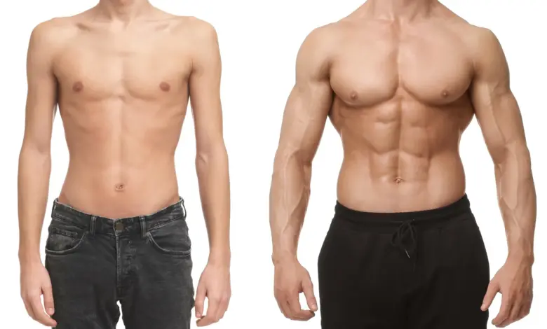 Pesquisa revela carne que amplia crescimento muscular