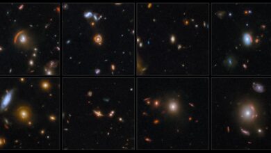 JWST analisa foto de lente gravitacional em 10 de outubro