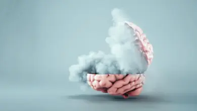 Cientistas detalham em estudo causas da brain fog na COVID longa
