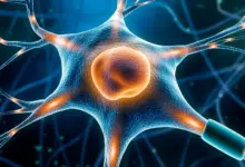 Pesquisa identifica “interruptor” celular para tratar Parkinson