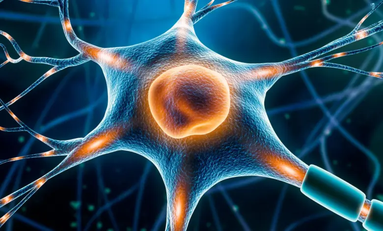 Pesquisa identifica “interruptor” celular para tratar Parkinson
